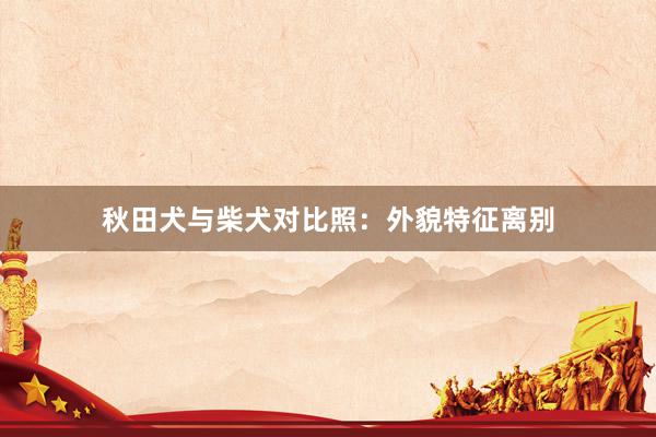 秋田犬与柴犬对比照：外貌特征离别