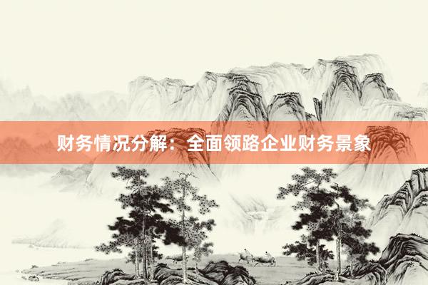 财务情况分解：全面领路企业财务景象